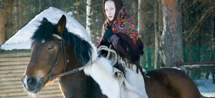 Обложка: Фотосессии с лошадьми в Ярославле