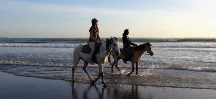 Обложка: Экскурсионная прогулка на лошадях во Владивостоке по бухте Горностай с посещением дотов