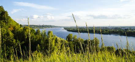 Обложка: Парк Швейцария