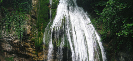 Обложка: Самшитовые водопады