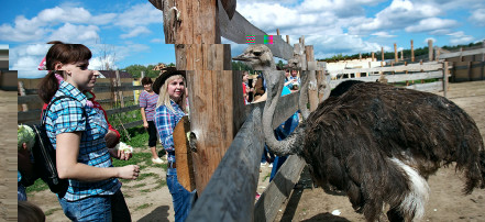 Обложка: Индивидуальная экскурсия на страусиную ферму в селе Чикча из Тюмени на транспорте