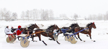 Обложка: Нижегородский ипподром