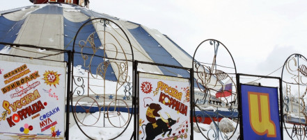 Обложка: «Цирк в Автово»