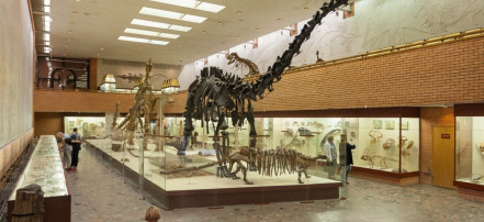Обложка: Палеонтологический музей имени Ю.А. Орлова
