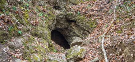 Обложка: Большая Фанагорийская пещера