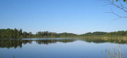 Обложка: Государственный природный заказник «Озеро Дружинное»