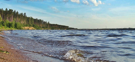 Обложка: Десногорское водохранилище