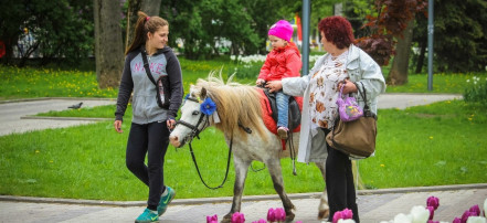 Обложка: Детский парк