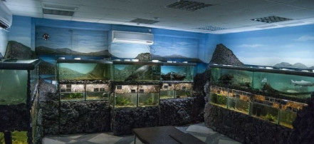 Обложка: Музей-аквариум «Рыбы Амура»