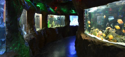 Обложка: Евпаторийский аквариум