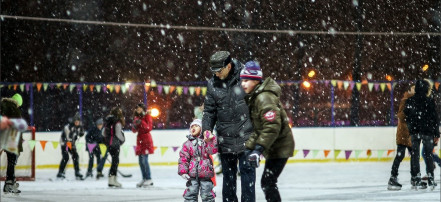 Обложка: Каток Московского парка Победы