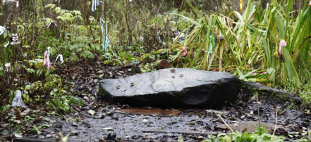 Обложка: Киндяковский камень в Шутовом лесу