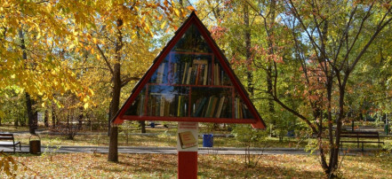 Обложка: Книжный шкаф в городском парке