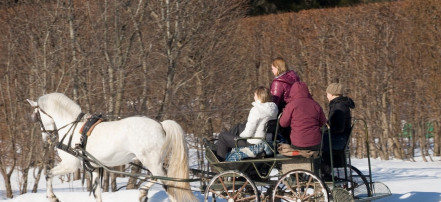 Обложка: Конный комплекс «Императорская ферма»