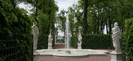 Обложка: Летний сад