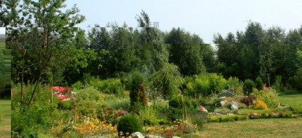 Обложка: Мемориальный ботанический сад Г.А. Демидова