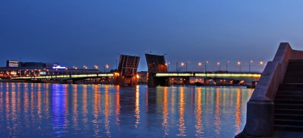 Обложка: Мост Александра Невского
