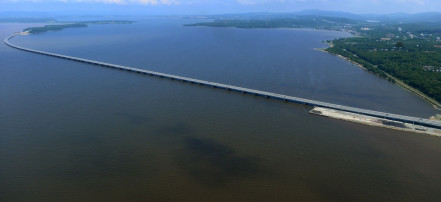 Обложка: Мост через Амурский залив