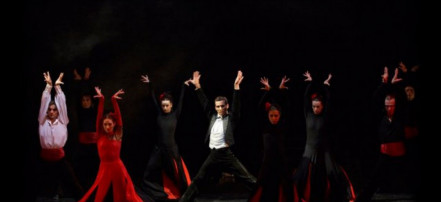 Обложка: Национальный русский балет «Возрождение»