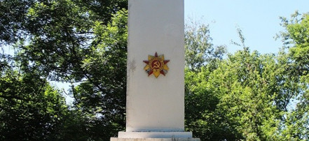 Обложка: Обелиск на городском кладбище в г. Ельце