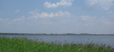 Обложка: Озеро Курочкино