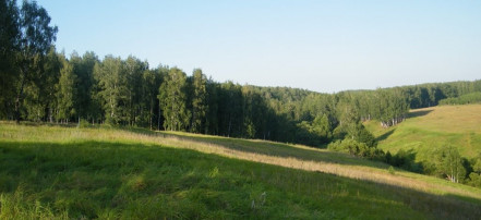 Обложка: Палаточный кемпинг «Николина гора»