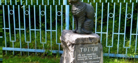 Обложка: Памятник коту Тотти