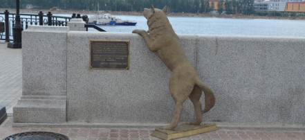 Обложка: Памятник собаке Дружок