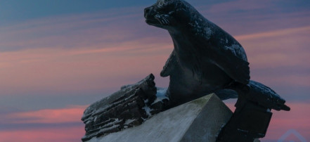 Обложка: Памятник тюленю-спасителю