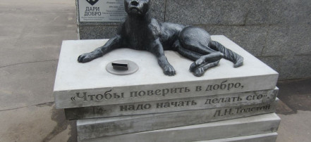 Обложка: Памятник-копилка бездомным животным