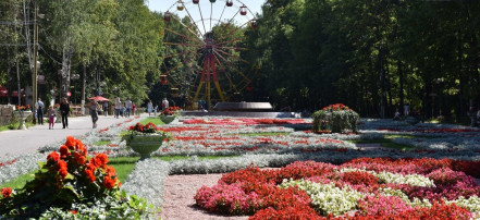 Обложка: Парк культуры и отдыха  им. Л.Н. Толстого