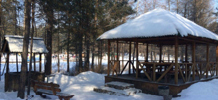 Обложка: Парк культуры и отдыха Заельцовский