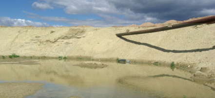 Обложка: Песчаные дюны в Сычево