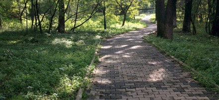 Обложка: Покровский парк