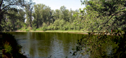 Обложка: Река Шаган