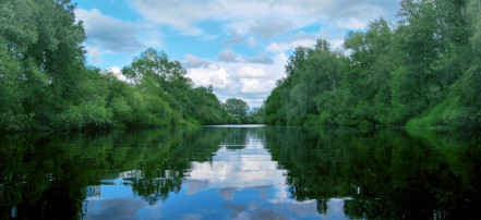 Обложка: Река Шелонь
