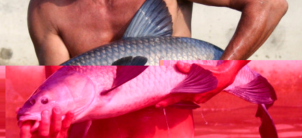 Обложка: Рыбалка в Горячем Ключе