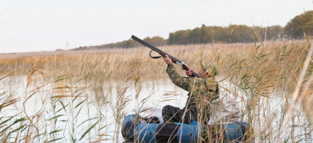 Обложка: Рыболовно-охотничья база «Оять»