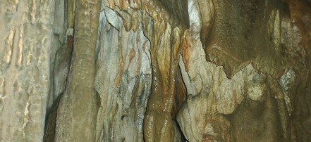 Обложка: Скельская пещера