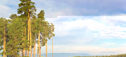 Обложка: Сосновый пляж на Светлой Поляне