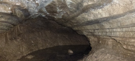 Cover: Пещеры