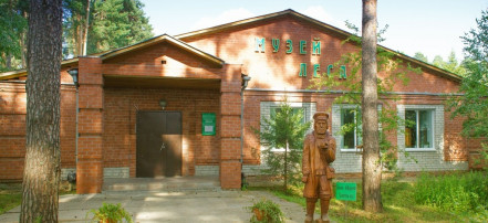 Обложка: Томский музей леса
