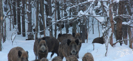 Обложка: Федоровский государственный природный заказник