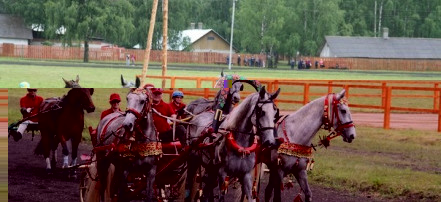 Обложка: Хорошевский коневодческий комплекс