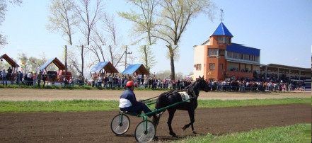 Обложка: Чесменский конный завод