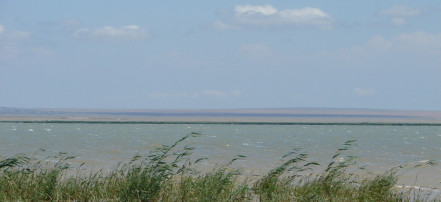 Обложка: Чограйское водохранилище