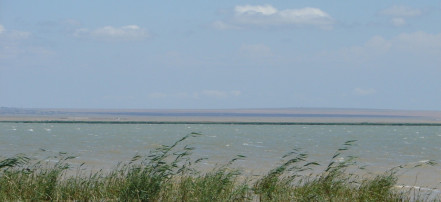 Обложка: Чограйское водохранилище