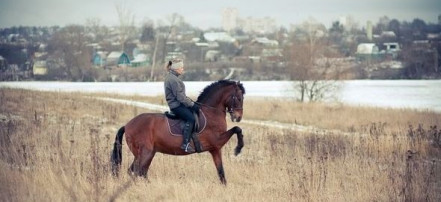 Обложка: Школа верховой езды «Пиафф»