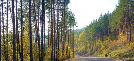 Обложка: «Трасса здоровья» в Белокурихе