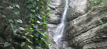Обложка: Водопад Псыдах и Шапсуг